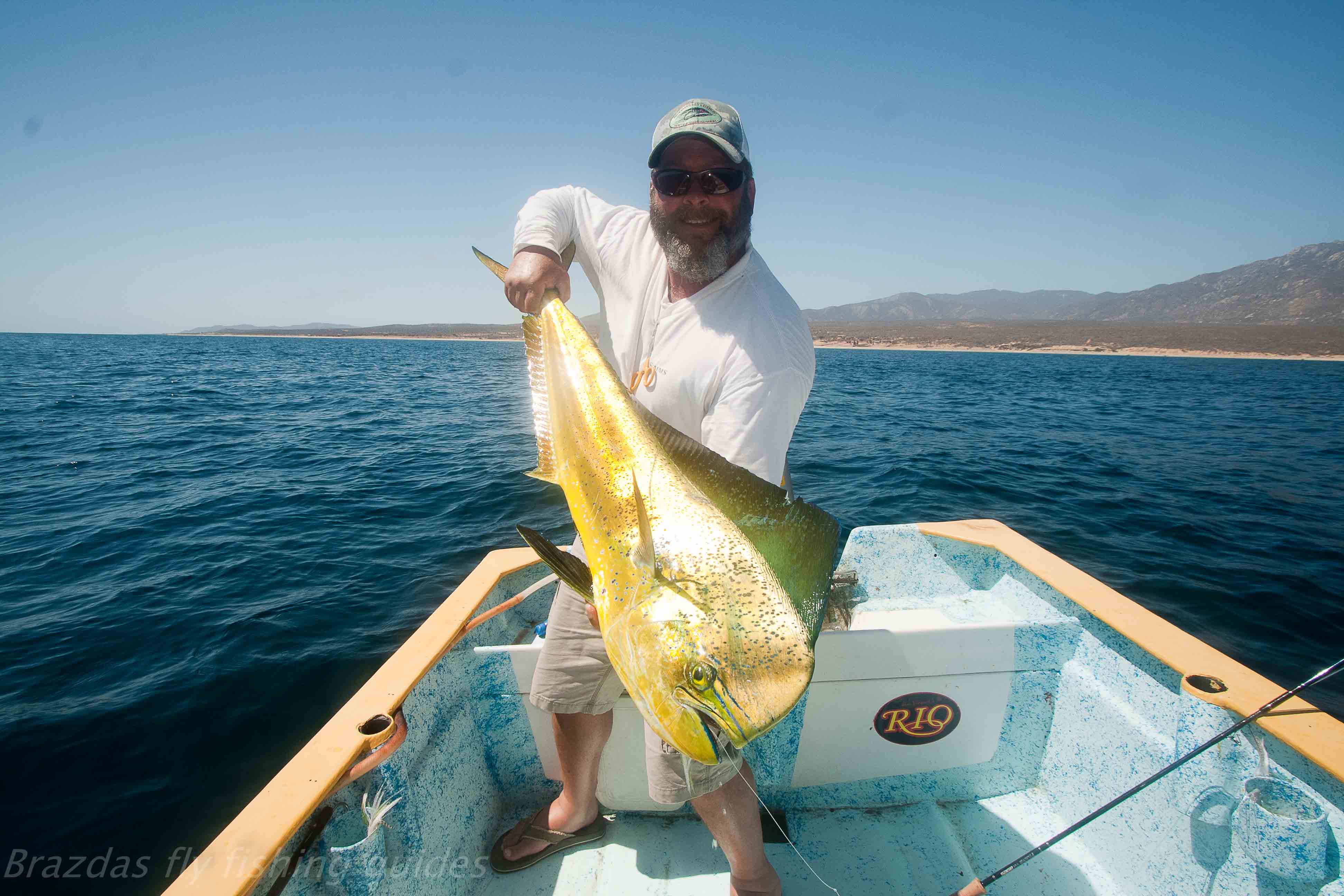 Dorado fly fishing East Cape